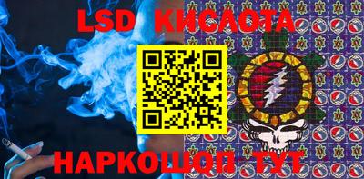 прущие грибы Среднеуральск