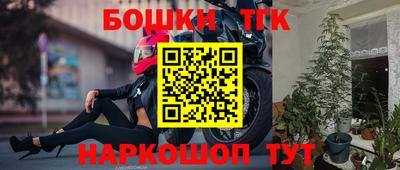 гашик Сланцы