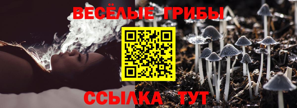 Псилоцибиновые грибы GOLDEN TEACHER Ноябрьск