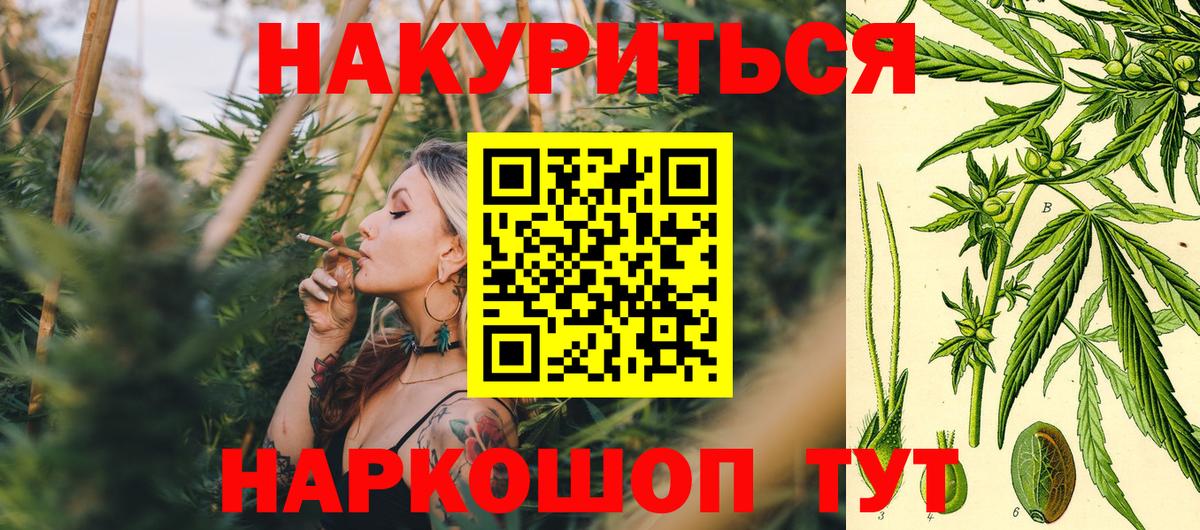 Бошки Шишки марихуана Ноябрьск